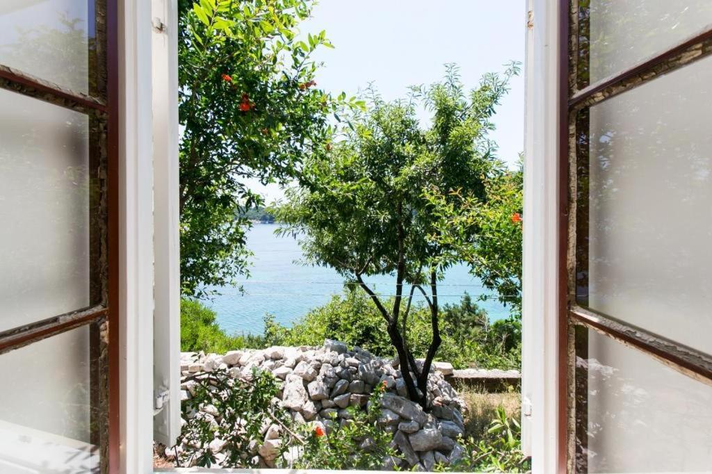 Guest House Simunovic Sudurad Buitenkant foto